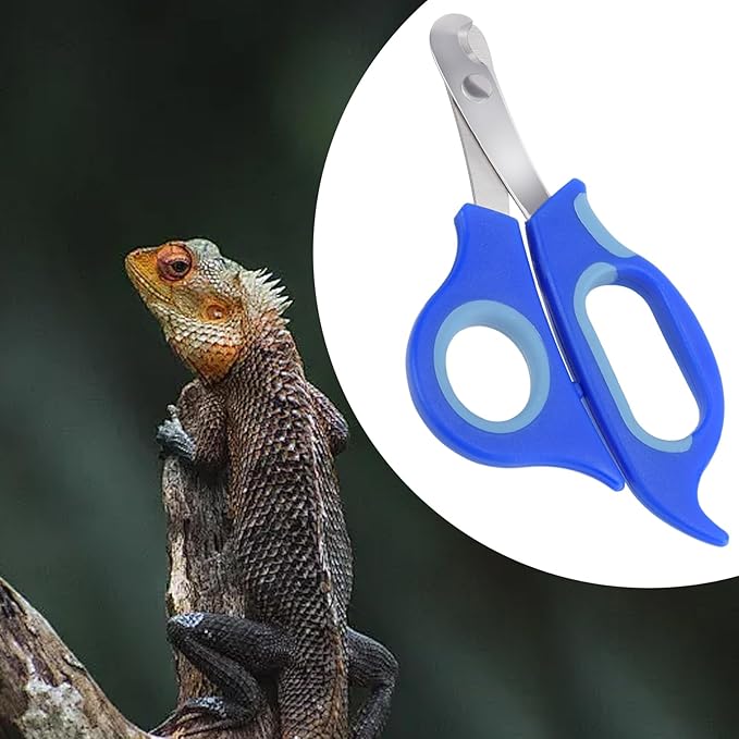 Bearded Dragon Nail Clippers,Stainless Steel Bearded Dragon Toe Nail Clippers with Precise Angled Edges (Blue)