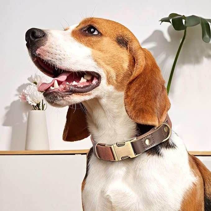 Didog Soft Padded Leather Dog Collars for Medium Dogs, Classic Heavy Duty Dog Collars with Quick Release Metal Buckle, Adjustable Medium Dog Collar Leather,Brown,M