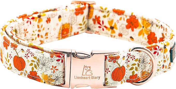 Lionheart glory Dog Collar Halloween Collar Dog Fall Dog Collars, Adjustable Heavy Duty Dog Collar for Small Dogs Pumpkin Collar Dog