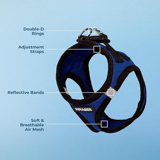 Voyager Step-in Air Dog Harness - All Weather Mesh, Reflective, No Pull Harness for Small, Medium Dogs, Cats - Secure with Hook & Loop Fastener, Buckle, Double D-Rings - Royal Blue/Black Trim, XXXS