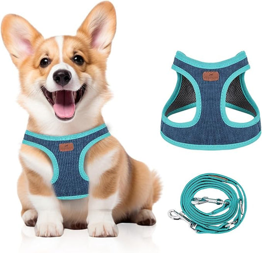Dog Harness with Multifunction Dog Leash,No Pull Reflective Step-in Harness for Soft Adjustable No Choke Escape Proof,Easy Walk Dog Harness for Medium Dogs (Blue&Green, L)