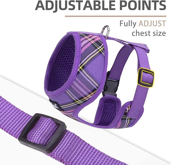 PUPTECK Soft Mesh Dog Harness and Leash Set Pet Puppy Cat Comfort Padded Vest No Pull Harnesses, Purple, L
