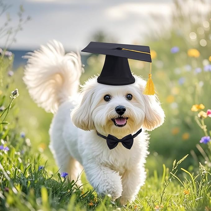 Pet Graduation Caps with Bow Tie Dog Graduation Hat with Yellow Tassel Pet Grad Costume Accessory for Small Dogs Cats Party Outfit