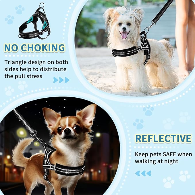SlowTon No Pull Small Dog Harness and Leash Set, Puppy Soft Vest Harness Neck & Chest Adjustable, Reflective Lightweight Harness & Anti-Twist Pet Lead Combo for Small Medium Dogs (B-Front Clip,XXS)