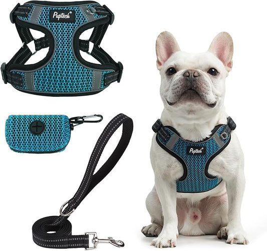 PUPTECK No Pull Dog Harness and Leash Set Reflective No Choke Step in Puppy Halter for XS Small and Medium Sized Dogs, Turquoise, Breathable Mesh, L