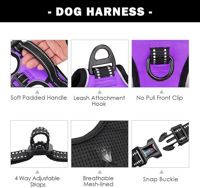 PHOEPET Reflective Dog Harness Large Breed Adjustable No Pull Vest with Handle 2 Metal Rings 3 Buckles [Easy to Put on & Take Off](XL, Purple)
