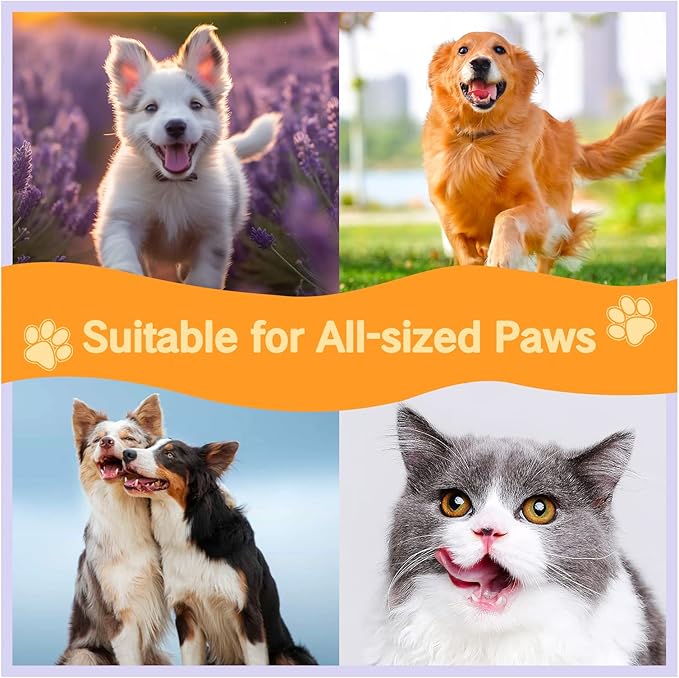 Clean Paws Foaming Cleanser for Dogs and Cats (6.8 oz) | No-Rinse Dandelion Lavender Paw Brush and Scrubber (1pcs)