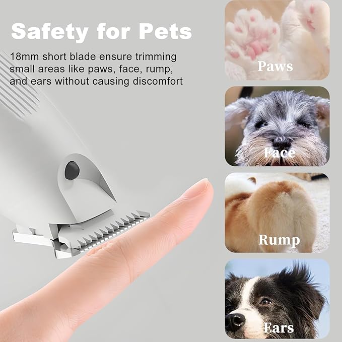 Electric Dog Paw Trimmer with LED Light, Low Noise Rechargeable Pet Hair Shaver for Ears, Face, Rump and Small Areas, Dog Grooming Kit