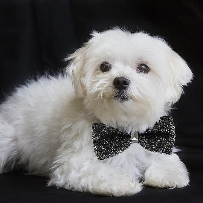 Crystal Pet Bowties, 10 PCS Adjustable Dog Collar Attachment Rhinestone Bling Bowties, Pet Collar Charms Accessories, Birthday Gift for Big Cat Puppy Small Medium Dogs(Small)