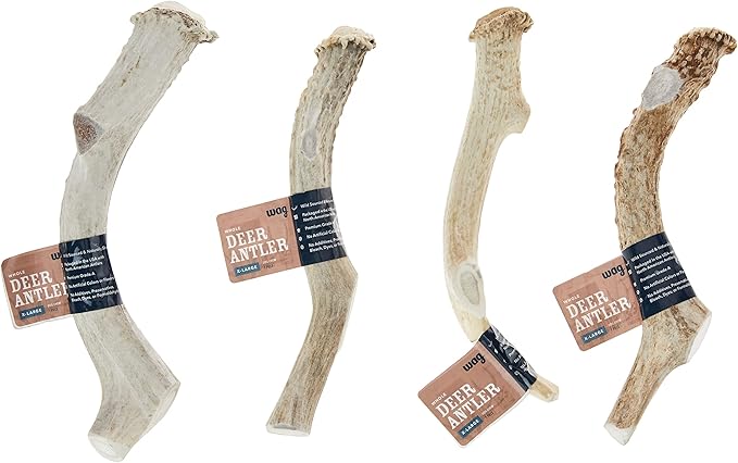 Amazon Brand – Wag Dog Deer Antler Chew, Naturally Shed, Whole, 9–10.5 inches, X-Large (Best for Dogs over 45 lbs)