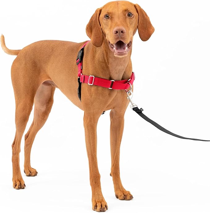 PetSafe Easy Walk No-Pull Dog Harness - The Ultimate Harness to Help Stop Pulling - Take Control & Teach Better Leash Manners - Helps Prevent Pets Pulling on Walks, Medium, Red/Black