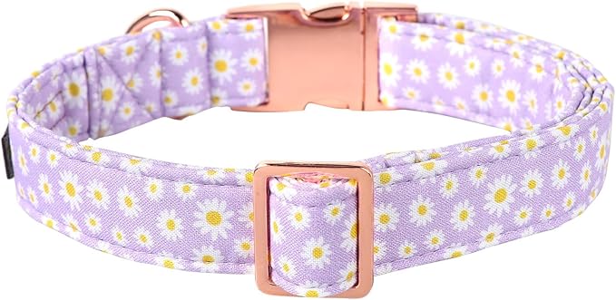 Lionet Paws Dog Collar, Comfortable Adjustable Cute Collar with Metal Buckle for Male Female Dogs Gift, Purple Daisy, Medium, Neck 13.5-22 inches