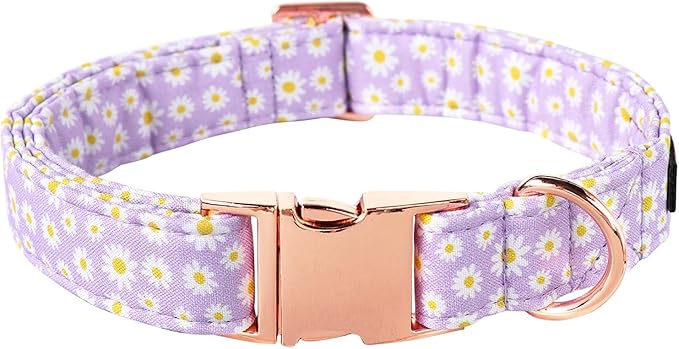 Lionet Paws Dog Collar, Comfortable Adjustable Cute Collar with Metal Buckle for Male Female Dogs Gift, Purple Daisy, XLarge, Neck 16-26 inches