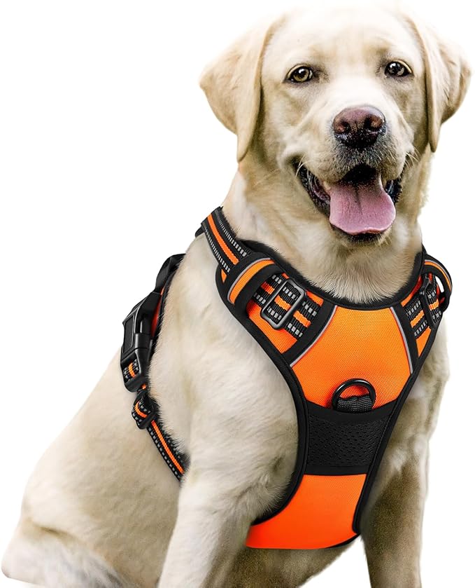 rabbitgoo Dog Harness, No-Pull Pet Harness with 2 Leash Clips, Adjustable Soft Padded Dog Vest, Reflective No-Choke Pet Oxford Vest with Easy Control Handle for Large Dogs,Orange,L
