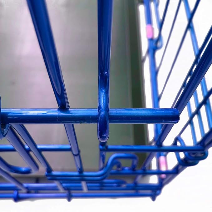 PET Expressions Luxury Colorful 24 Inch Foldable Dog Crate with 2 Doors | Free Training Ebook and Pet Calming Music | 3 Colors & 3