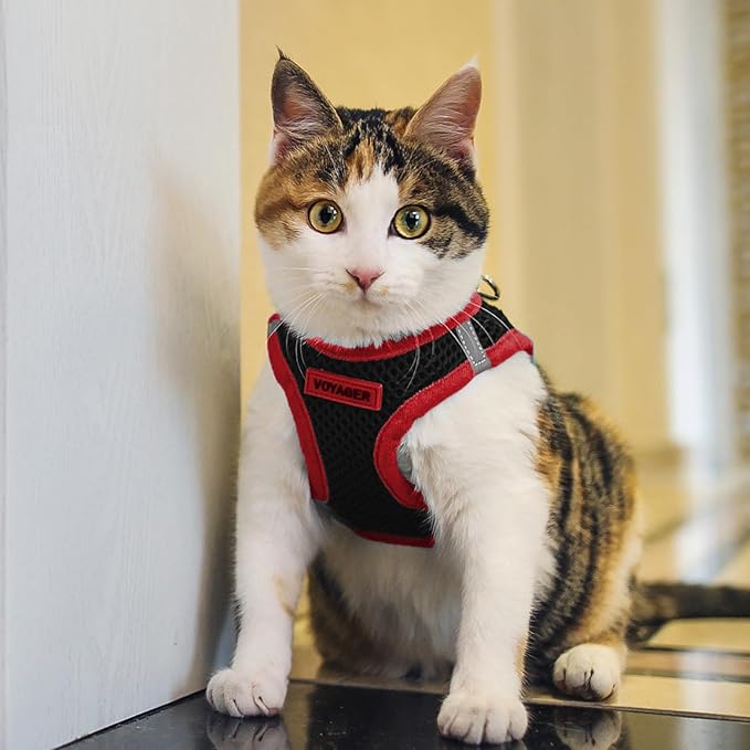 Voyager Step-in Air Dog Harness - All Weather Mesh, Reflective, No Pull Harness for Small, Medium Dogs, Cats - Secure with Hook & Loop Fastener, Buckle, Double D-Rings - Black/Red Trim, M
