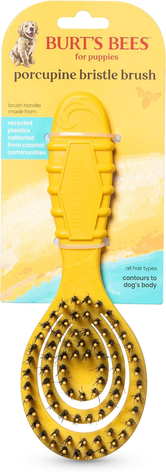 Burt’s Bees for Pets Porcupine Bristle Brush for Puppies and Small Dogs with Handle Made from Recycled Plastics Collected from Coastal Communities | Flex-head Grooming Brush for Dogs
