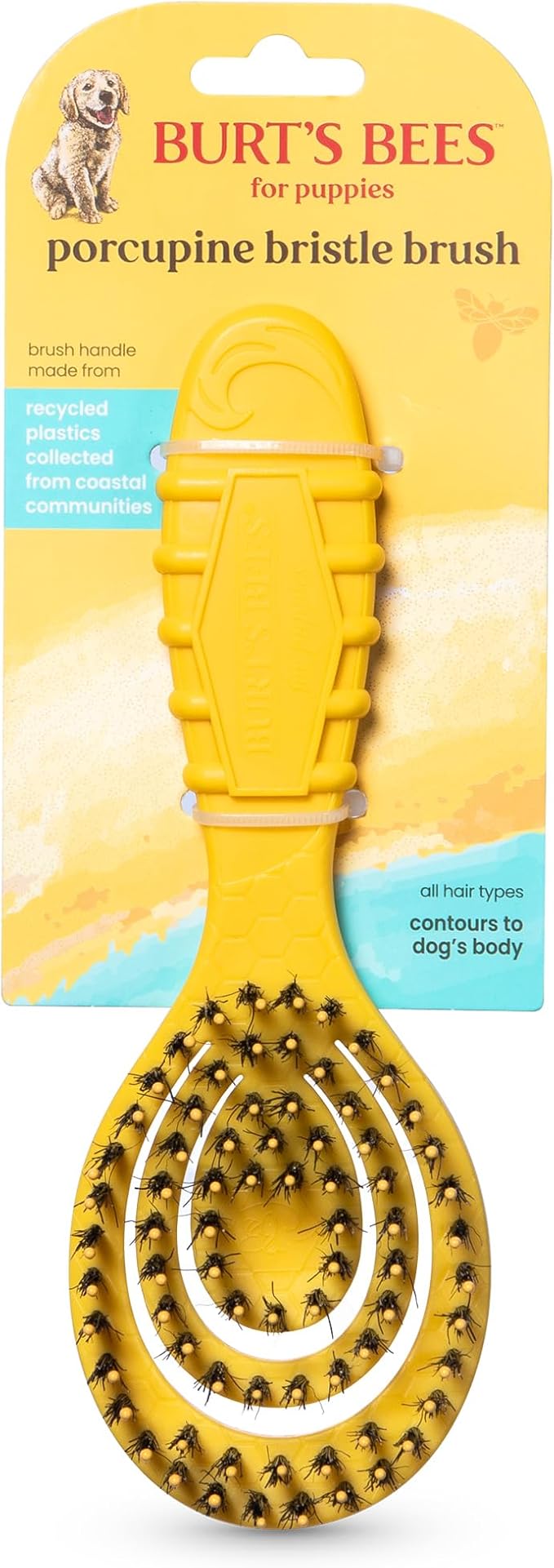 Burt’s Bees for Pets Porcupine Bristle Brush for Puppies and Small Dogs with Handle Made from Recycled Plastics Collected from Coastal Communities | Flex-head Grooming Brush for Dogs