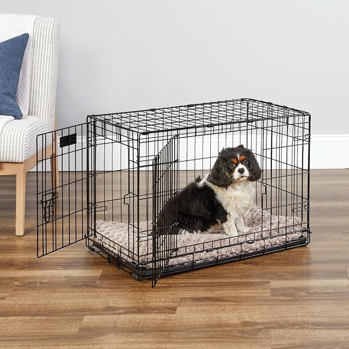 MidWest Homes for Pets Newly Enhanced Single & Double Door iCrate Dog Crate, Includes Leak-Proof Pan, Floor Protecting Feet, Divider Panel & New Patented Features