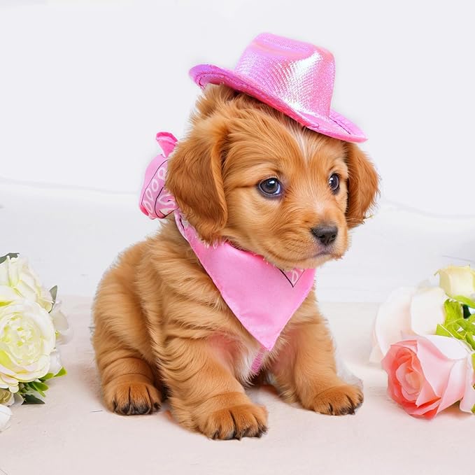 Pet Cowboy Costume Set Neon Sparkly Glitter Space Dog Cat Cowboy Hat Cap Bandana Scarf for Puppy Kitten Halloween Western Cosplay Party (Pink, Medium)