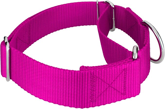 Country Brook Petz 1 1/2 Inch Martingale Heavy Duty Nylon Adjustable Dog Collar for Small, Medium, Large Breeds - Vibrant 17 Color Selection (Fuchsia, Large)