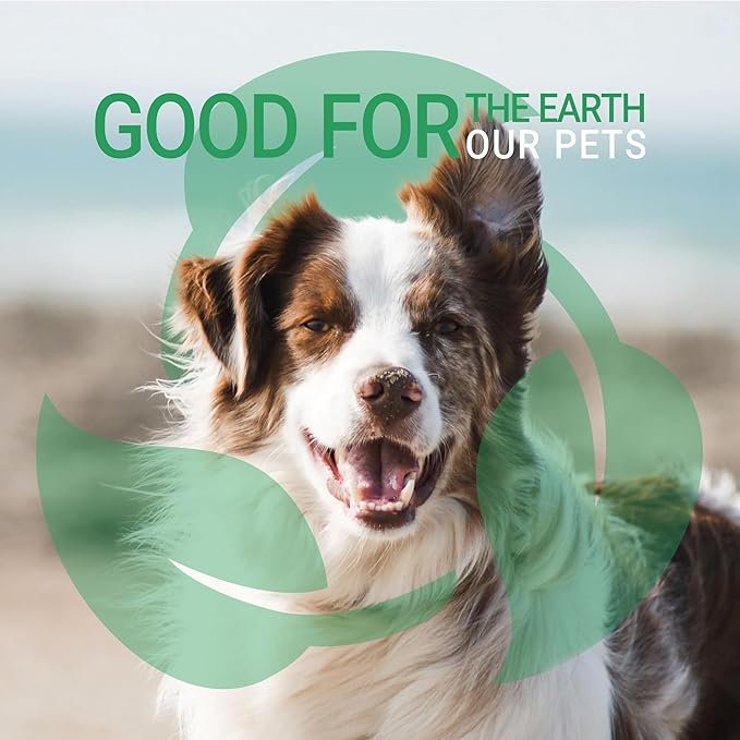 Black Dog Shampoo, Gallon | Coconut Oil and Protein, Natural Ingredients, Restores The Coat's Dark Shade, Softens and Hydrates