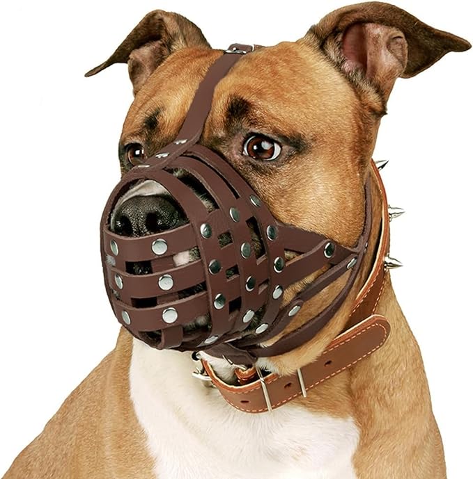 CollarDirect Pitbull Dog Muzzle Leather Amstaff Muzzles Staffordshire Terrier Secure Basket (Brown)