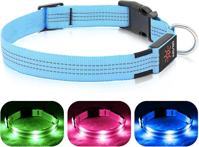 BSEEN Light Up Dog Collars - Glowing LED Dog Collar, Reflective Puppy Collar, Adjustable Lighted Dog Collar, Rechargeable Pet Collar for Night Walking (Blue, Medium)