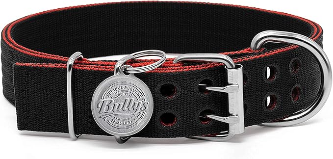 Pit Bull Collar, Dog Collar for Large Dogs, Heavy Duty Nylon, Stainless Steel Hardware (Large, Black with Red Trim)