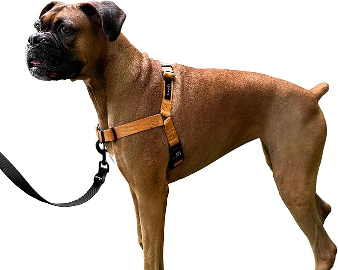 ShawnCo Dream Walk No-Pull Dog Harness- Adjustable, Comfortable, Easy to Use Pet Halter to Help Stop Pulling for Small, Medium and Large Dogs (Sunset Orange, S)