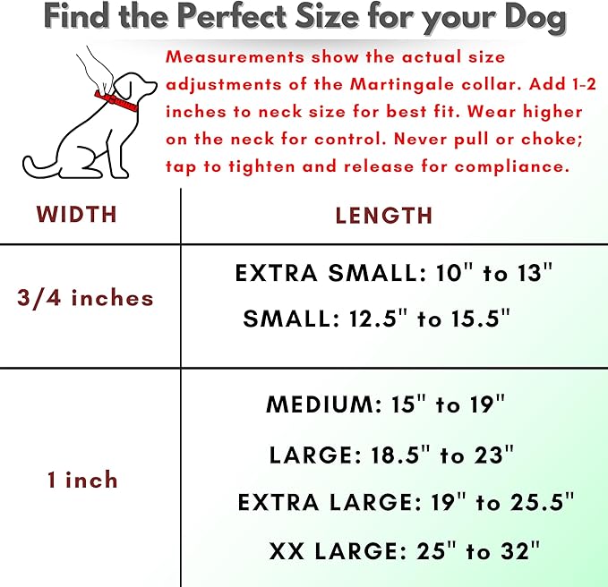 Martingale Collar for Dogs, Biothane, Stainless Steel Hardware, No Pull, Made in The USA, Professional Grade, Medium, Orange