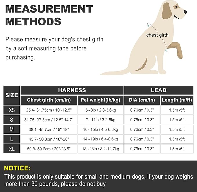 haapaw Dog Harness with Leash Set, No Pull Adjustable Reflective Step-in Puppy Harness with Thickened Padded Vest for Extra-Small/Small Medium Dogs