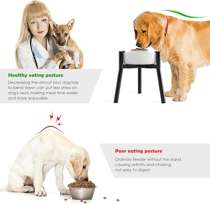 Adjustable Dog Bowl Stand for Medium & Large Dogs, Raised Food & Water Bowls, 7-10.7" Wide, 11" Tall