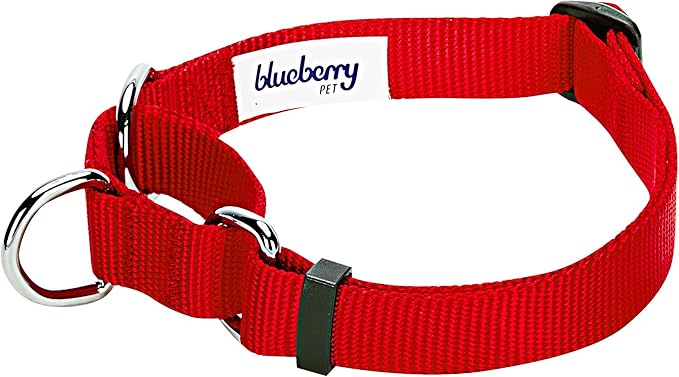Blueberry Pet Essentials Martingale Safety Training Dog Collar, Rouge Red, X-Large, Heavy Duty Nylon Adjustable Collars for Dogs