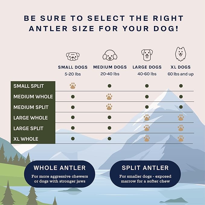 Good Trouble Pets Premium Elk Antlers for Large Dogs - All-Natural, Shed Antler Chews for Dental Health & Calming - Durable Dog Bones for Aggressive Chewers - Cruelty-Free, North American Sourced