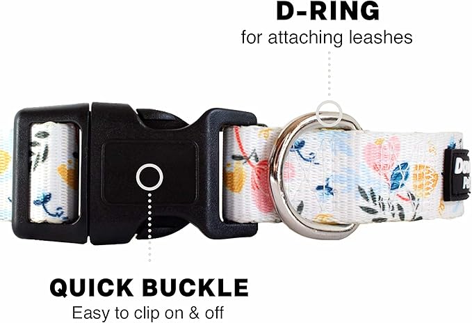 Downtown Pet Supply - Best, Cute & Fancy Dog Collar - Lightweight Adjustable Dog Collar with Quick Buckle & D-Ring - Hand Wash Safe - Floral - L - Large Dog Collar