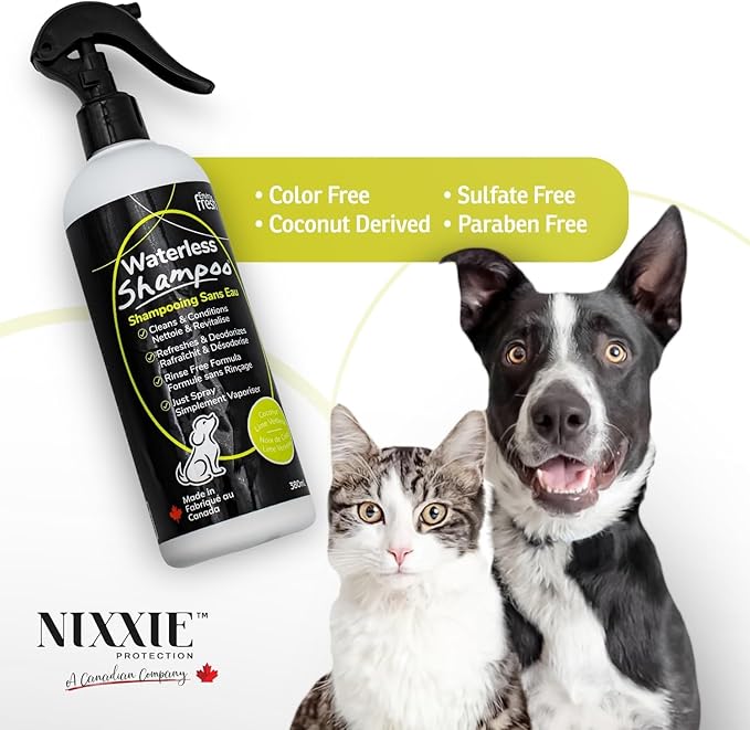 Dog Dry Shampoo, Waterless Dog Shampoo, Dry Shampoo for Dogs by EnviroFresh, Waterless Pet Shampoo for Dogs and Cats - Dog Perfume, Dog Deodorizing Spray, Dry Shampoo, Cat Grooming (12 oz.)