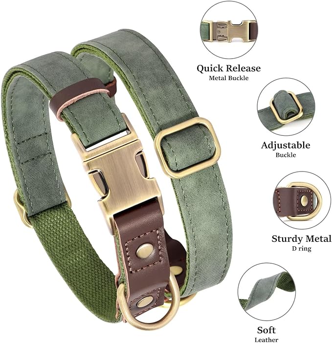 Didog Soft Padded Leather Dog Collars for Medium Dogs, Classic Heavy Duty Dog Collars with Quick Release Metal Buckle, Adjustable Medium Dog Collar Leather,Green,M