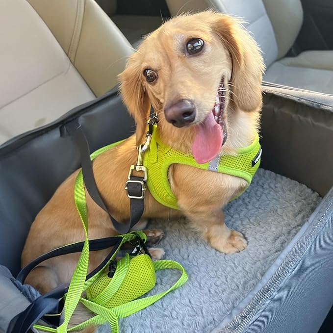 Voyager Step-in Air Dog Harness - All Weather Mesh, Reflective, No Pull Harness for Small, Medium Dogs, Cats - Secure with Hook & Loop Fastener, Buckle, Double D-Rings - Lime Green, XXXS