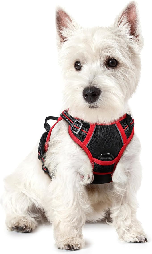 rabbitgoo Dog Harness, No-Pull Pet Harness with 2 Leash Clips, Adjustable Soft Padded Dog Vest, Reflective No-Choke Pet Oxford Vest with Easy Control Handle for Large Dogs, Black & Red, X-Small