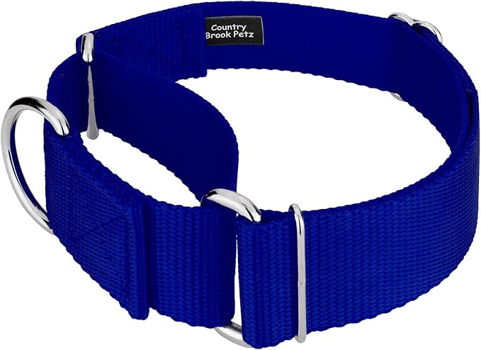 Country Brook Petz 1 1/2 Inch Martingale Heavy Duty Nylon Adjustable Dog Collar for Small, Medium, Large Breeds - Vibrant 17 Color Selection (Royal Blue, Medium)
