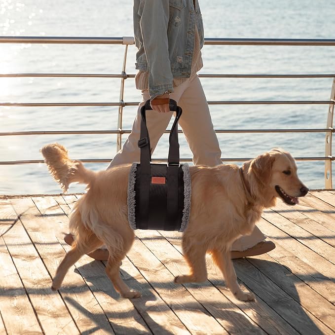 Adjustable Dog Lift Harness, Dog Sling for Large Dogs Hind Leg Support, Soft Lift Support Helps Senior, Injured, Disabled and After ACL Surgery Dogs-Black & Grey (Large)