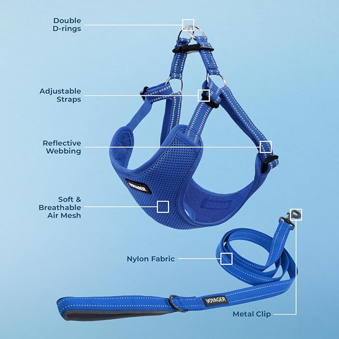 Best Pet Supplies Voyager Adjustable Dog Harness Leash Set with Reflective Stripes for Walking Heavy-Duty Full Body No Pull Vest with Leash D-Ring, Breathable All-Weather - Harness (Royal Blue), XL