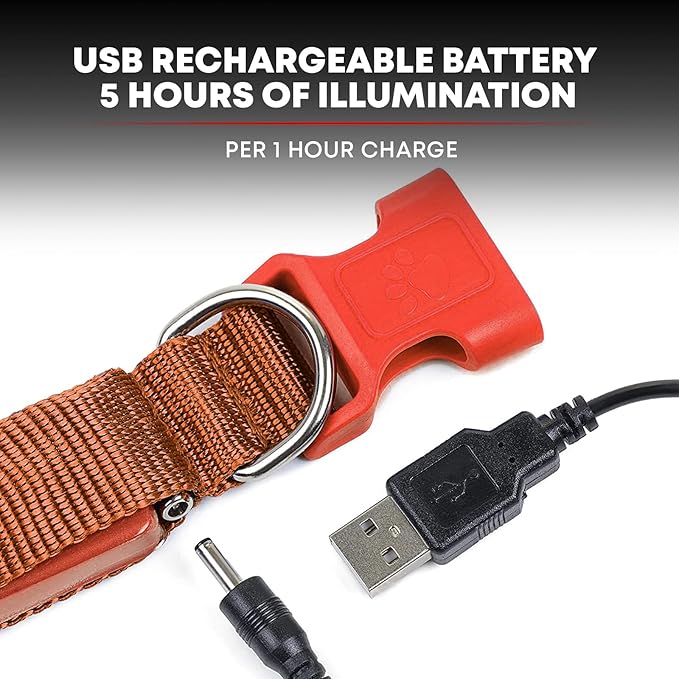 Illumiseen LED Dog Collar USB Rechargeable - Bright & High Visibility Lighted Glow Collar for Pet Night Walking - Weatherproof, in 6 Colors & 6 Sizes (Red X-Large)