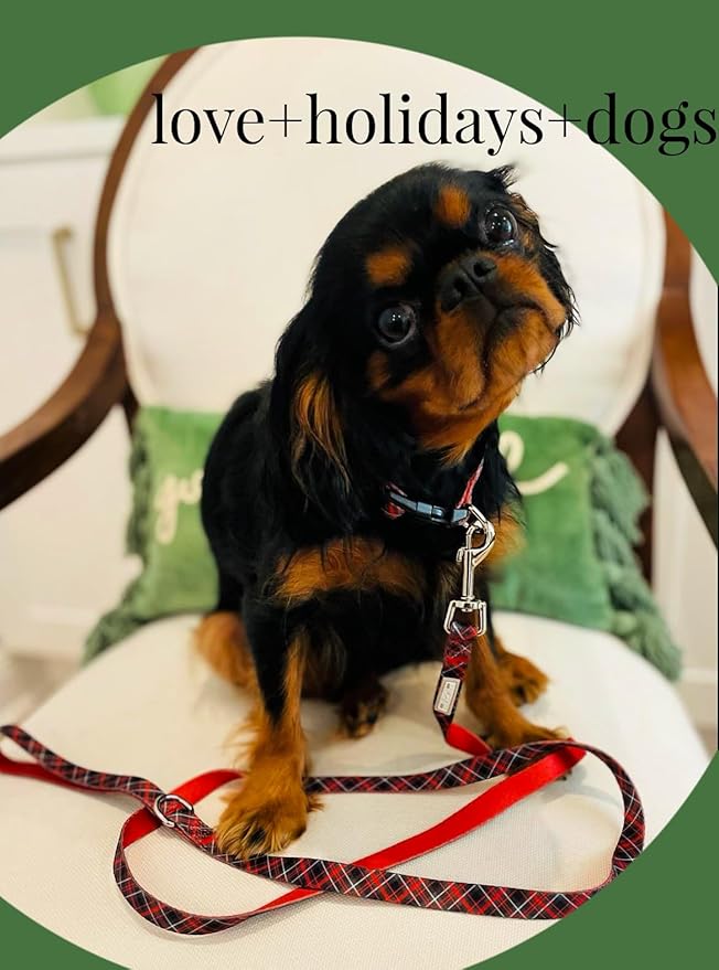 Lucky Love Dog, Beautiful Evergreen Dog Collar, Vivid Berry Plaid Dog Collar for Boy and Girl Dogs - (Medium, Heywood Collar)