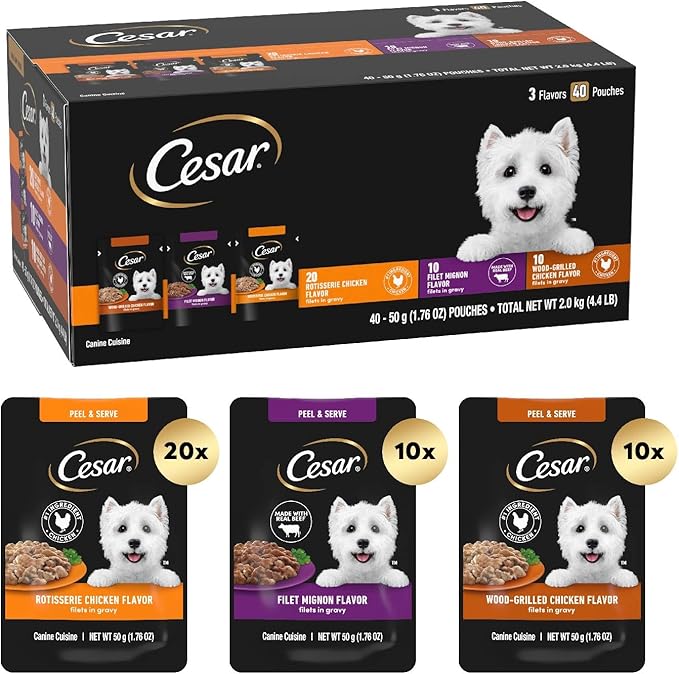 Cesar Wet Dog Food 40 Count Multipack