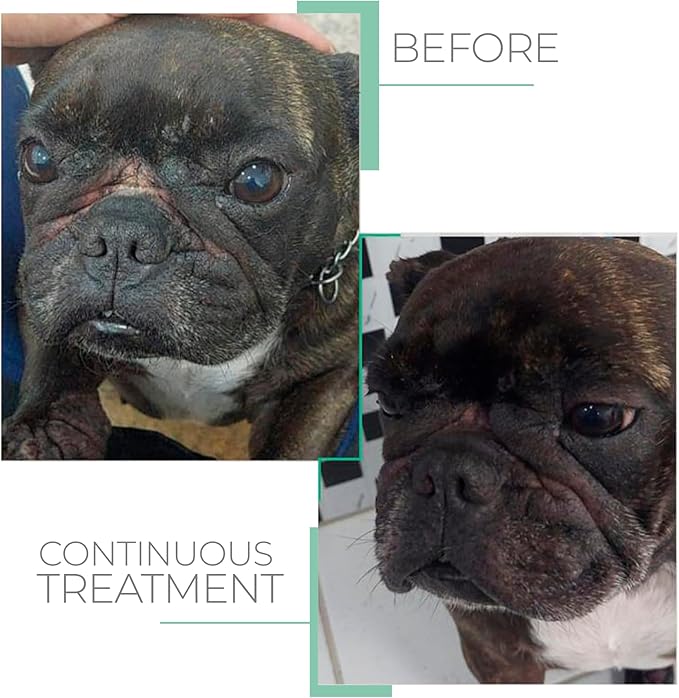 Sensitive Skin Hypoallergenic Conditioner for Pets - Fur Detangling, Nourishment & Hydration, All Ages Pet Grooming Products, Horse, Cat Dog Bath Supplies - Vegan, Paraben-Free - 10.6oz - PUREZA PET