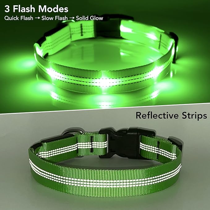 BSEEN Light Up Dog Collar - Glowing LED Dog Collar, Reflective Dog Collar, Adjustable Lighted Dog Collar, Rechargeable Puppy Collar for Night Walking (Green-II, Small)