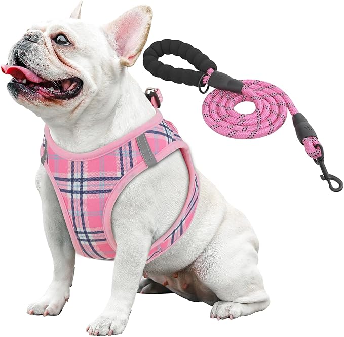 Athena Collection Step-in Dog Harness with 5 ft Leash, Medium Dog Harness Leash Set Large No Pull Dog Vest Harness with Reflective Strips Adjustable Velcro, Easy Walk Puppy Harness, Pink