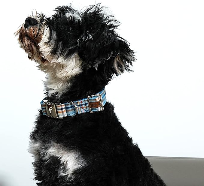 Lionet Paws Boy Dog Collar, Comfortable Adjustable Cute Blue Plaid Collar with Metal Buckle for Male Dogs Gift, Medium, Neck 13.5-22 inches